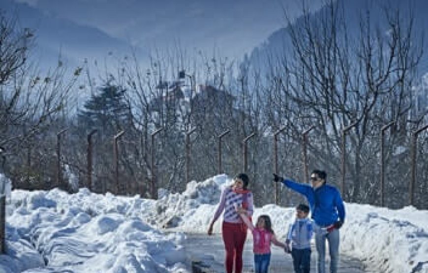 5Nts Manali Shimla